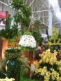 /album/fotogaleria/dsc00102-jpg/